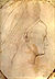 Pisanello, disegni, louvre 2342 r.jpg