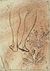 Pisanello - Codex Vallardi 2264.jpg