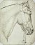 Pisanello - Codex Vallardi 2358.jpg