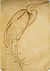 Pisanello - Codex Vallardi 2450.jpg