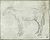 Pisanello - Codex Vallardi 2458.jpg