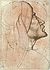 Pisanello - Codex Vallardi 2609 v.jpg