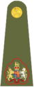 UK Army OR9a.png
