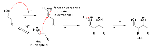 Mécanisme de la réaction aldol d'un aldéhyde avec lui-même en catalyse acide.