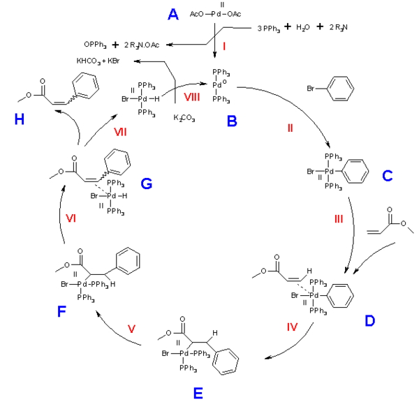 The Heck reaction mechanism, ultimate product either cis or trans