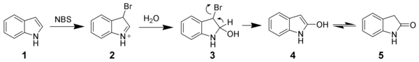 Oxydation de l'indole par le N-bromosuccinimide