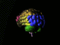 Brain animated color nevit.gif