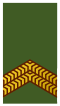 Nl-landmacht-korporaal der 1e klasse.svg