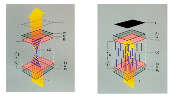 TN-LCD-schematic-MS-208kB.png