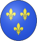 Blason France moderne ovale.svg