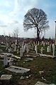 Edirne Graveyard 7345 Nevit.JPG