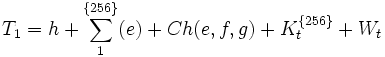 T_1 = h + \sum^{\{256\}}_1(e) + Ch(e,f,g) + K^{\{256\}}_t + W_t ~