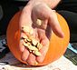 Pumpkin seeds in hand.jpg