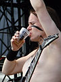 Ensiferum Hellfest 2010 06.jpg