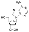 structure chimique de l'adenosine