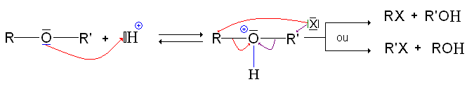 Action halogénure d'hydrogène+ether.GIF