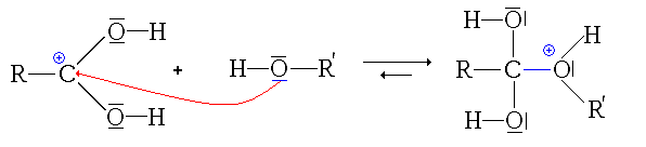 Attaque nucléophile de l'alcool sur l'acide protoné.GIF