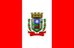 Bandeira S. Jose dos Ausentes.jpg