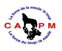 CAPM Logo.JPG