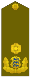 ES-Army-OF6.gif