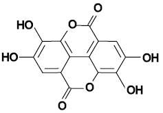 Structure de l'acide ellagique.