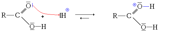 Esterification m1bis Protonation carbonyle.GIF