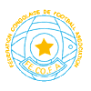 Football République démocratique du Congo federation.png