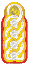 GDR Army OF11 Armeegeneral.gif