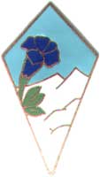 Insigne de la 27e Division d'Infanterie Alpine (1939).jpg