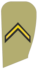 Iran-army 03.gif