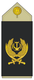 Iran-army 16.gif