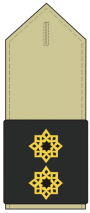 Iran-guard-pasdaran 11.gif
