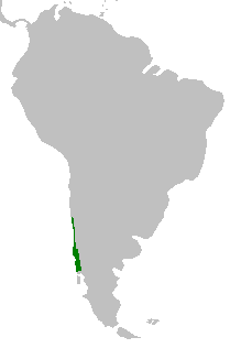 Lapageria rosea range map.png