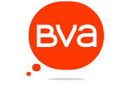 Logo BVA.gif