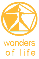 Logo Disney-wondersoflife.jpg