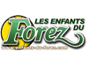 Logo Feurs EF.gif