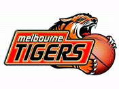 Melbourne Tigers.jpg