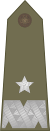 POL-Army-OF6.gif