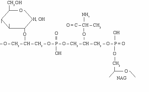 Polyglycerol phosphate.png