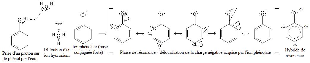 Resonance phenolate.JPG