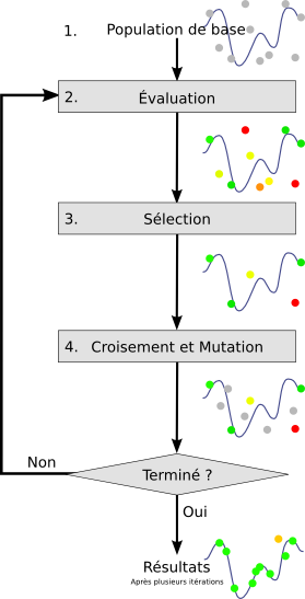 Algorithme génétique : un procédé analogue à la reproduction sexuée au niveau des chromosomes