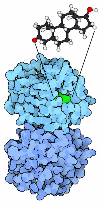 More on cure steroide masse seche