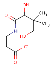 Structure chimique de la vitamine B5