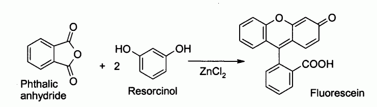ZnCl2 fluorescein.gif