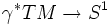 \gamma^*TM\rightarrow S^1